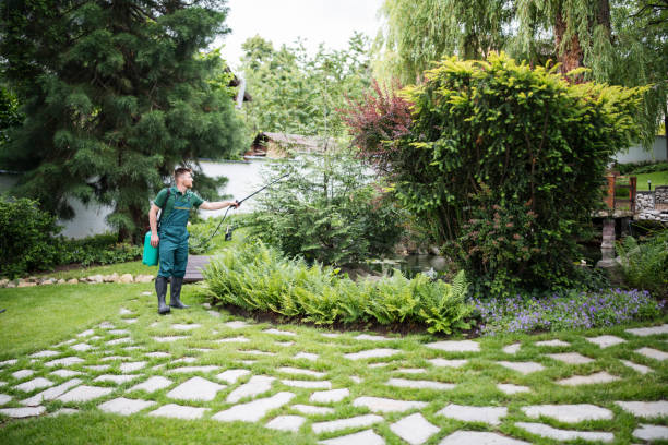 Best Mosquito Control Services  in Wauwatosa, WI