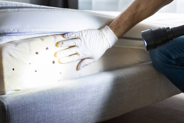 Pest Control Cost in Wauwatosa, WI