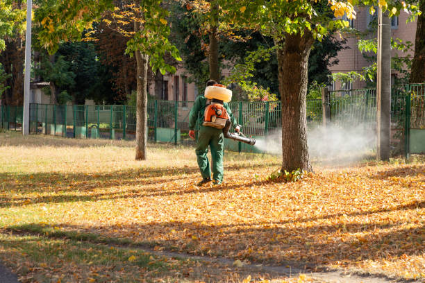 Reliable Wauwatosa, WI Pest Control Solutions