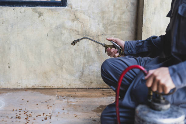 Best Exterminator Services  in Wauwatosa, WI